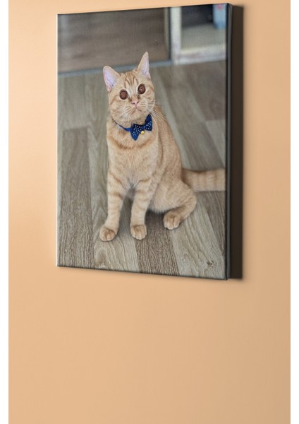Sayılarla Boyama Seti Çerçeveli Kasnaklı Süslü Kedi 60 x 75 cm fiyatları
