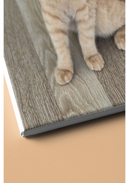 Sayılarla Boyama Seti Çerçeveli Kasnaklı Süslü Kedi 60 x 75 cm modelleri