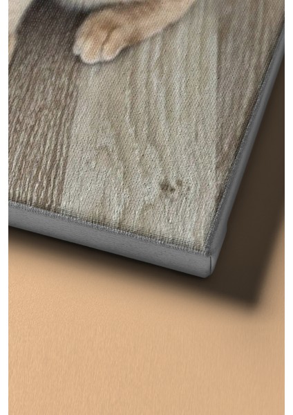 Sayılarla Boyama Seti Çerçeveli Kasnaklı Süslü Kedi 60 x 75 cm fırsatları