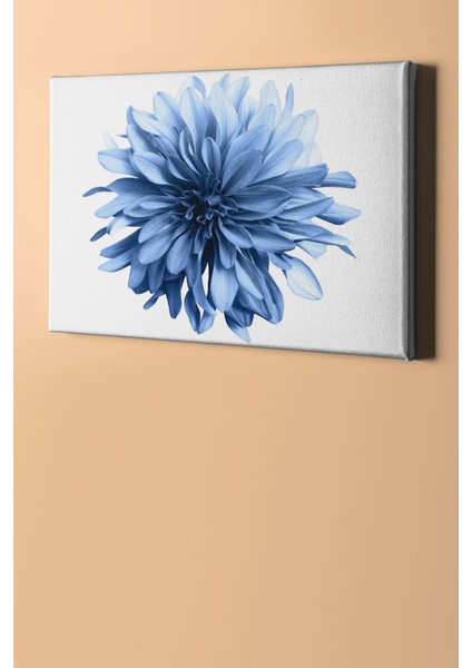 Sayılarla Boyama Seti Kasnaklı Beyaz Krizantem 40 x 50 cm fiyatları