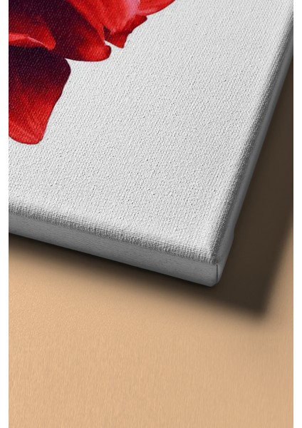 Sayılarla Boyama Seti Kasnaklı Yıldız Çiçeği 40 x 50 cm fırsatları