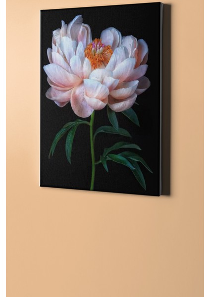 Sayılarla Boyama Seti Kasnaklı Beyaz Şakayık 50 x 65 cm fiyatları