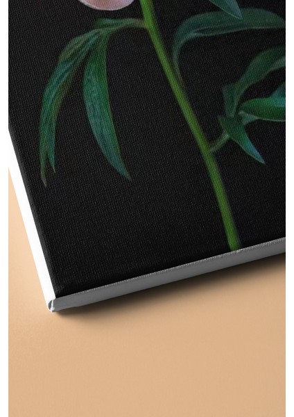 Sayılarla Boyama Seti Kasnaklı Beyaz Şakayık 50 x 65 cm modelleri