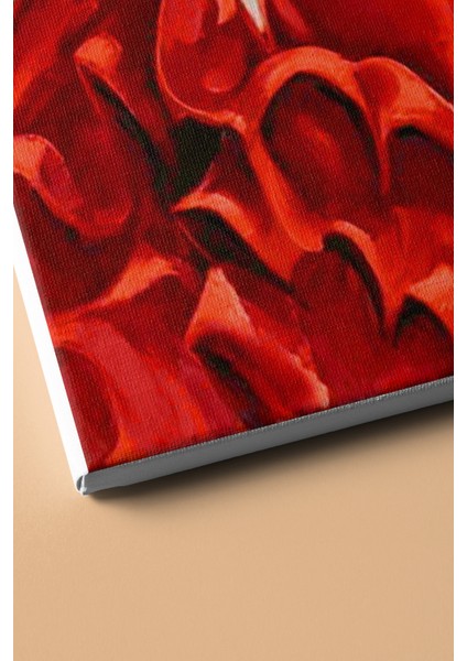 Sayılarla Boyama Seti Kasnaklı Çingene Dansı 40 x 50 cm modelleri