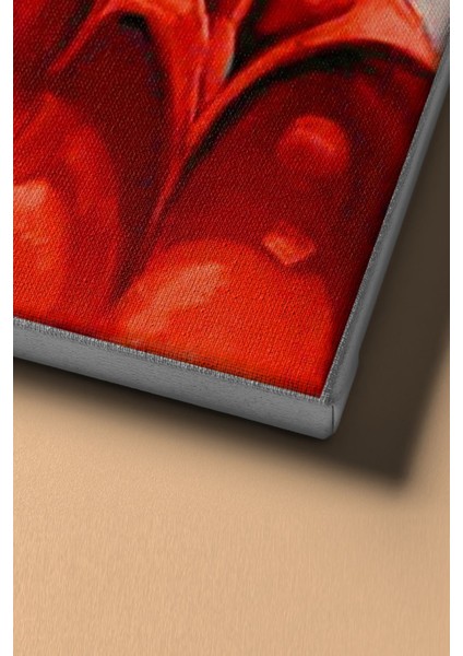 Sayılarla Boyama Seti Kasnaklı Çingene Dansı 40 x 50 cm fırsatları