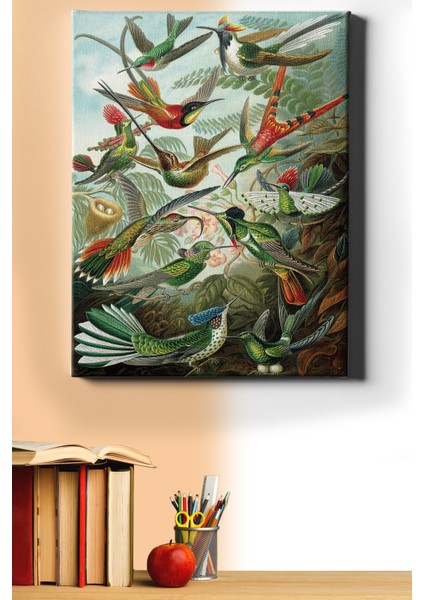 Sayılarla Boyama Seti Kasnaklı Kuşlar 50 x 65 cm