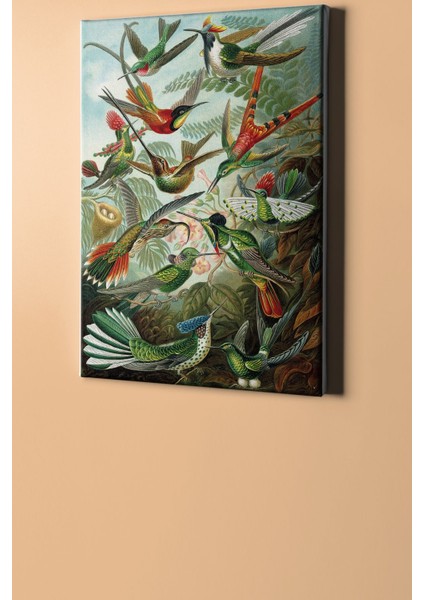 Sayılarla Boyama Seti Kasnaklı Kuşlar 50 x 65 cm fiyatları