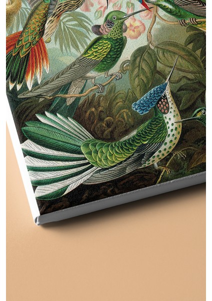 Sayılarla Boyama Seti Kasnaklı Kuşlar 50 x 65 cm modelleri