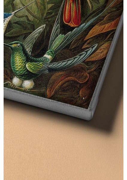 Sayılarla Boyama Seti Kasnaklı Kuşlar 50 x 65 cm fırsatları