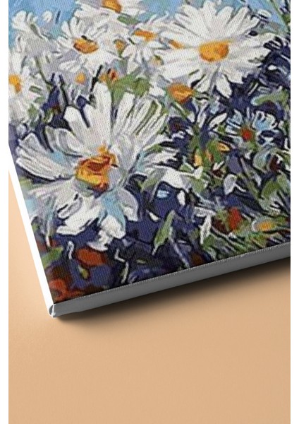 Sayılarla Boyama Seti Kasnaklı Papatyalar 60 x 75 cm