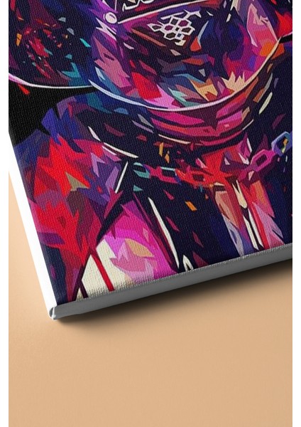 Sayılarla Boyama Seti Kasnaklı Renklerin Içinden 70 x 90 cm
