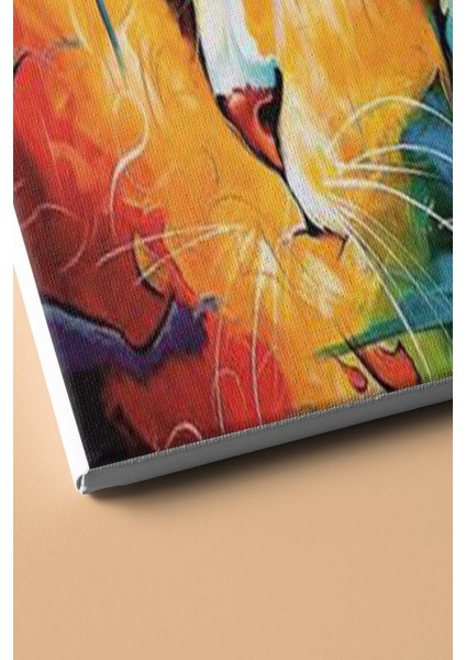 Sayılarla Boyama Seti Kasnaklı Renkli Kedi 2 50 x 65 cm modelleri