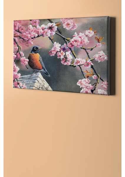 Sayılarla Boyama Seti Kasnaklı Pembe Bahar 50 x 65 cm fiyatları