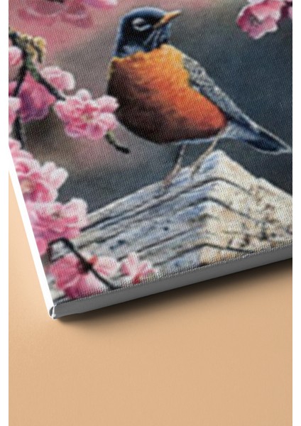 Sayılarla Boyama Seti Kasnaklı Pembe Bahar 50 x 65 cm modelleri