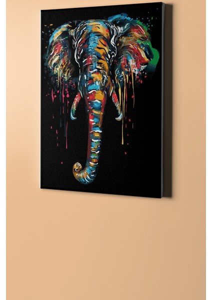 Sayılarla Boyama Seti Kasnaklı Renkli Fil 60 x 75 cm fiyatları