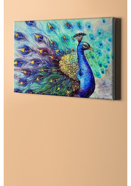 Bereket Tavus Kuşu Sayılarla Boyama Seti Kasnaklı 40 x 50 cm fiyatları