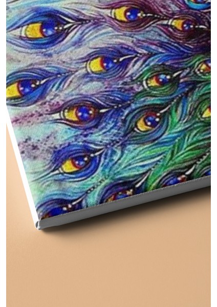 Bereket Tavus Kuşu Sayılarla Boyama Seti Kasnaklı 40 x 50 cm modelleri