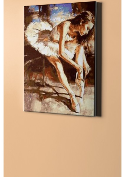 Sayılarla Boyama Seti Kasnaklı Yıldız Balerin 40 x 50 cm fiyatları