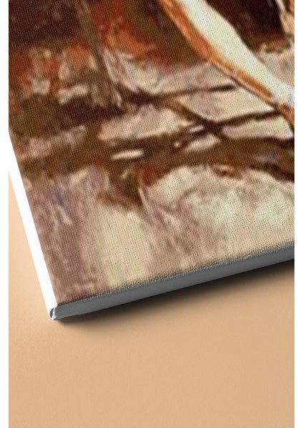 Sayılarla Boyama Seti Kasnaklı Yıldız Balerin 40 x 50 cm modelleri