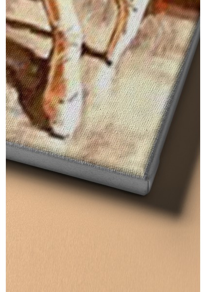 Sayılarla Boyama Seti Kasnaklı Yıldız Balerin 40 x 50 cm fırsatları