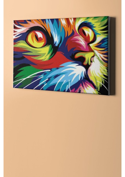 Sayılarla Boyama Seti Kasnaklı Renkli Asil 40 x 50 cm