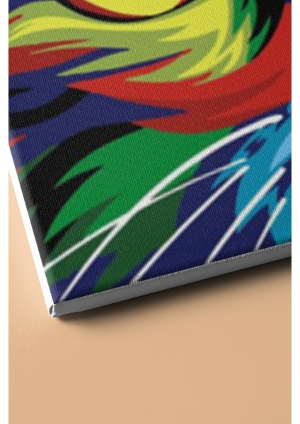 Sayılarla Boyama Seti Kasnaklı Renkli Asil 40 x 50 cm