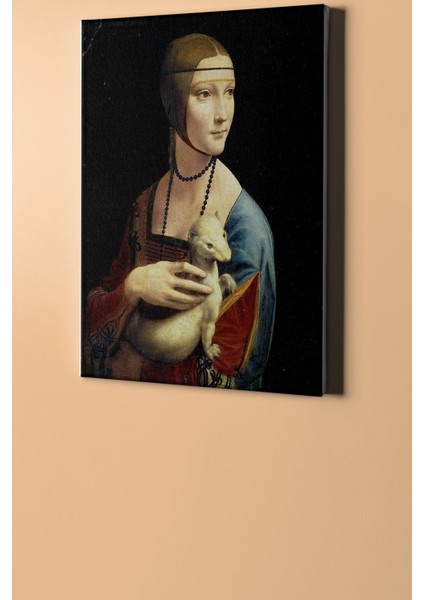 Sayılarla Boyama Seti Kasnaklı Kakımlı Kadın 50 x 65 cm fiyatları