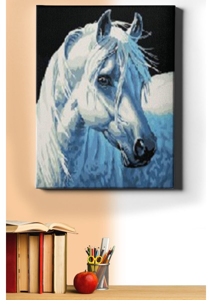 Sayılarla Boyama Seti Kasnaklı Kırat 50 x 65 cm