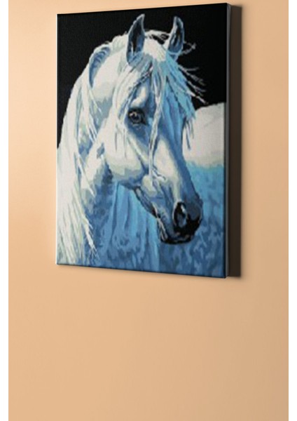 Sayılarla Boyama Seti Kasnaklı Kırat 50 x 65 cm