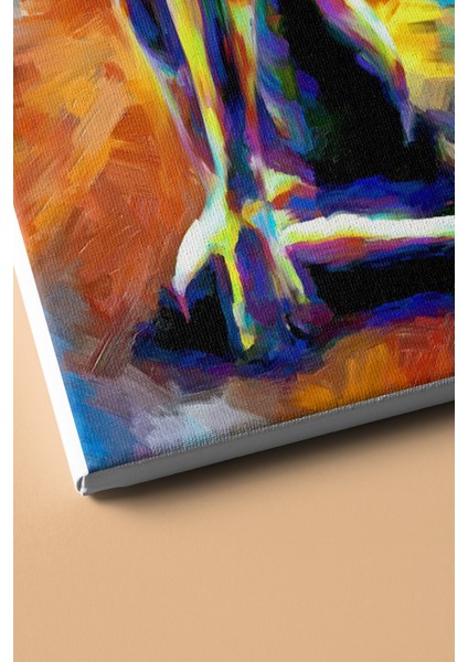 Sayılarla Boyama Seti Kasnaklı Egzotik Kadın 50 x 65 cm modelleri