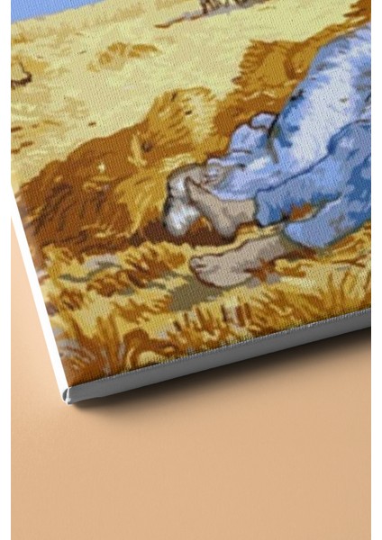 Sayılarla Boyama Seti Kasnaklı Tarlada Mola 60 x 75 cm modelleri