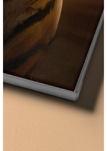 Sayılarla Boyama Seti Kasnaklı Kaplan ve Gece 50 x 65 cm fırsatları