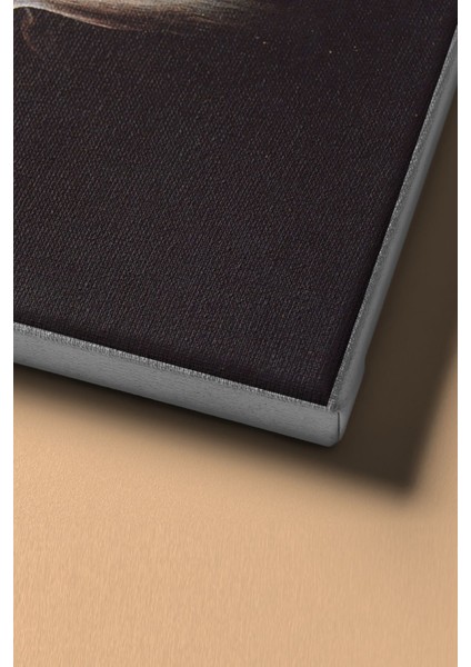 Sayılarla Boyama Seti Kasnaklı S.dali Eriyen Saatler 50 x 65 cm fırsatları