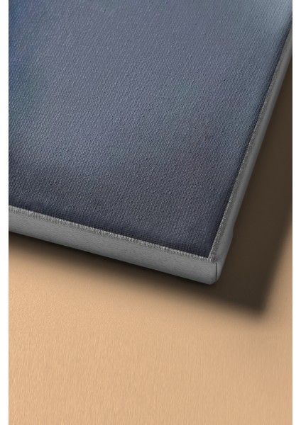 Sayılarla Boyama Seti Kasnaklı Kadınlar Çiçektir 60 x 75 cm fırsatları