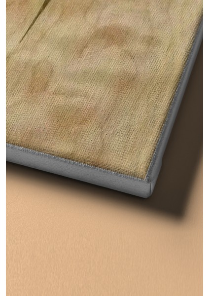 Sayılarla Boyama Seti Kasnaklı Kadının Rengi 50 x 65 cm fırsatları