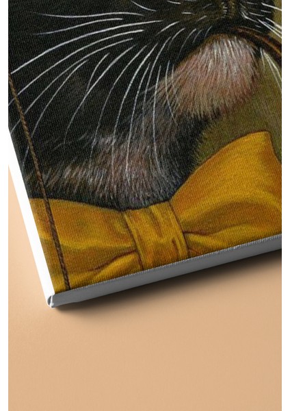 Sayılarla Boyama Seti Kasnaklı Gözlüklü Kedi 50 x 65 cm modelleri