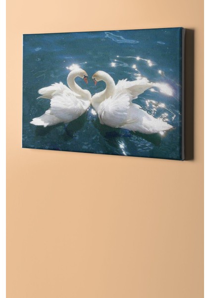 Sayılarla Boyama Seti Kasnaklı Kuğuların Saf Aşkı 50 x 65 cm fiyatları