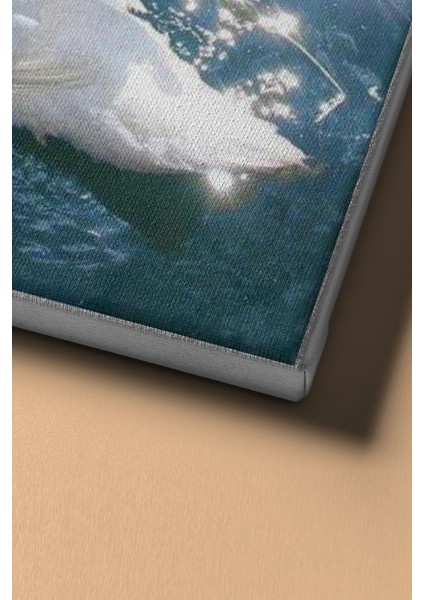 Sayılarla Boyama Seti Kasnaklı Kuğuların Saf Aşkı 50 x 65 cm fırsatları