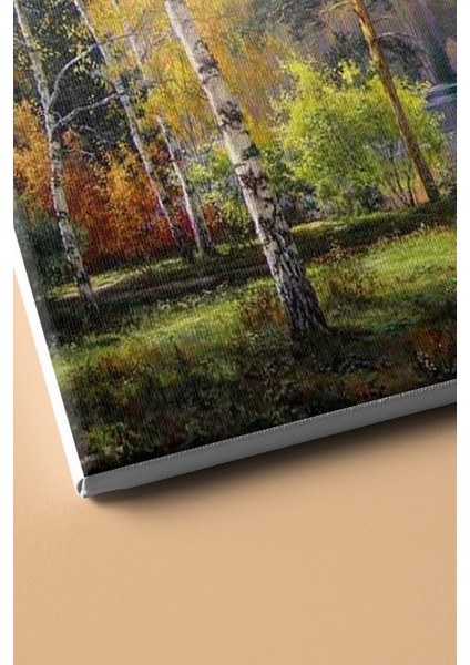 Sayılarla Boyama Seti Kasnaklı Kayın Ormanı 40 x 50 cm
