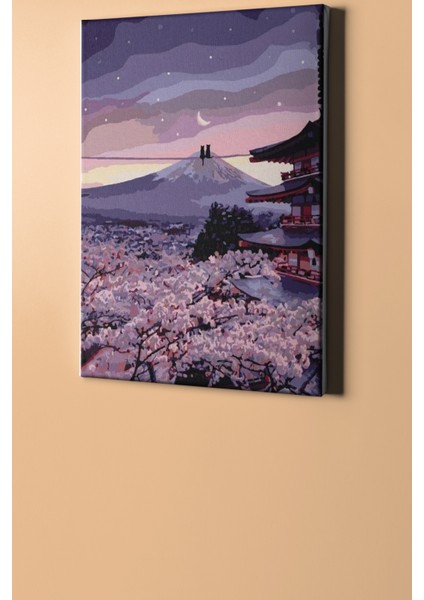 Sayılarla Boyama Seti Kasnaklı Teldeki Kediler 60 x 75 cm fiyatları