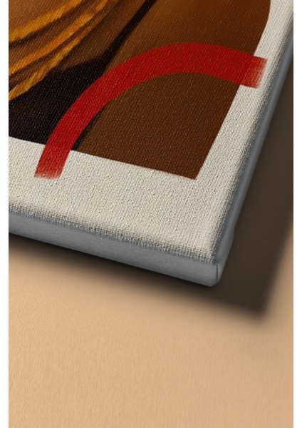 Sayılarla Boyama Seti Çerçeveli Kasnaklı Süslü Kadın 50 x 65 cm fırsatları