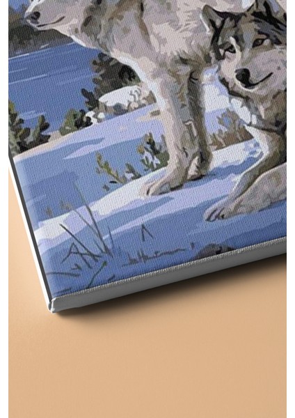 Sayılarla Boyama Seti Kasnaklı Kurtlar ve Kar 40 x 50 cm modelleri