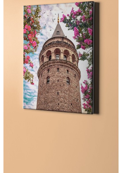 Sayılarla Boyama Seti Kasnaklı Galata Kulesi 90 x 110 cm