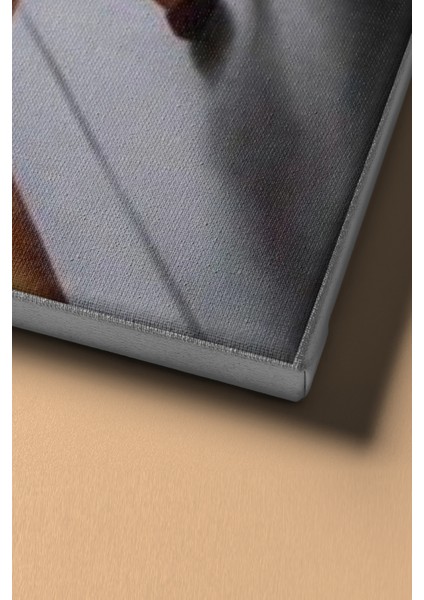 Sayılarla Boyama Seti Kasnaklı Duruş 40 x 50 cm fırsatları