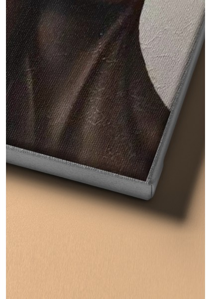 Sayılarla Boyama Seti Kasnaklı Afrika'ya Özlem 50 x 65 cm fırsatları