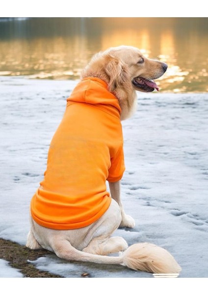 Orange Kapşonlu Sweatshirt, Orta ve Büyük Irklar Için fiyatları