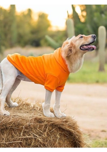 Orange Kapşonlu Sweatshirt, Orta ve Büyük Irklar Için fırsatları