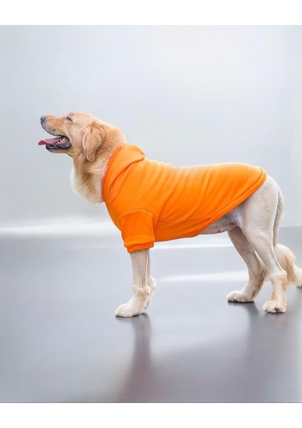 Orange Kapşonlu Sweatshirt, Orta ve Büyük Irklar Için indirimleri