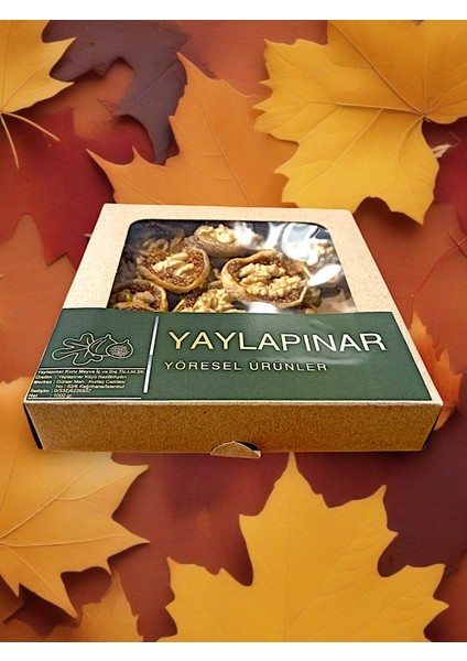 YAYLAPINAR DAĞ İNCİRİ-500 GR. fırsatları