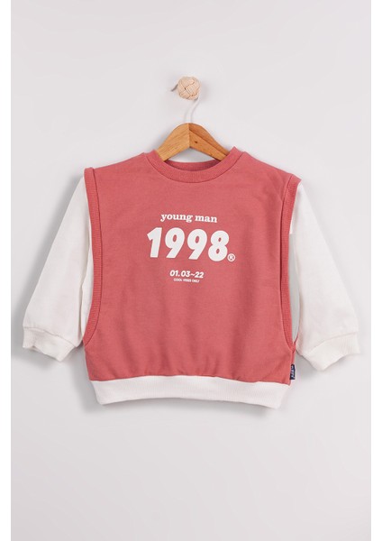 Erkek Çocuk 2'li Paket Basic Sweatshirt fiyatları